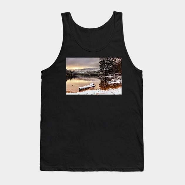 Loch an Eilean Tank Top by Reg-K-Atkinson